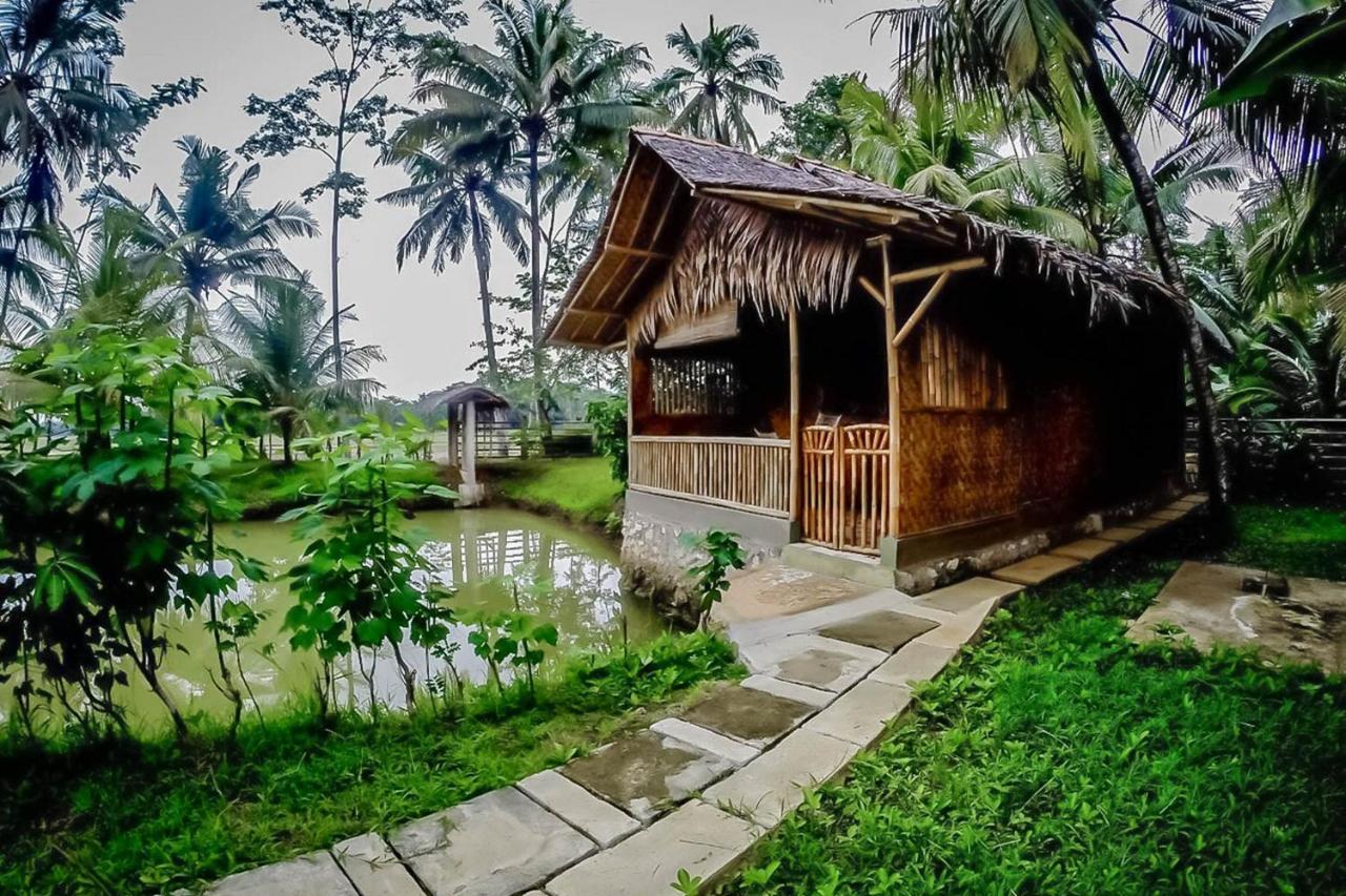 庞岸达兰 Baleku Bamboo Retreat酒店 外观 照片